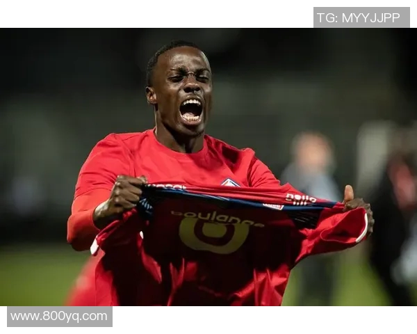 五大联赛综述：积分榜及战绩分析一览